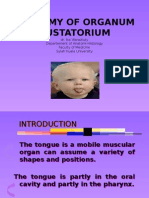 Anatomy of Organum Gustatorium