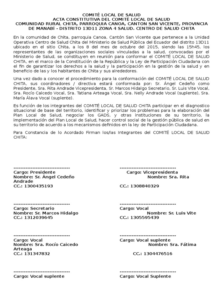 Acta Constitutiva Comité Local de Salud Chita | PDF