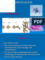 Actinomyces and Nocardia 2-12-2015