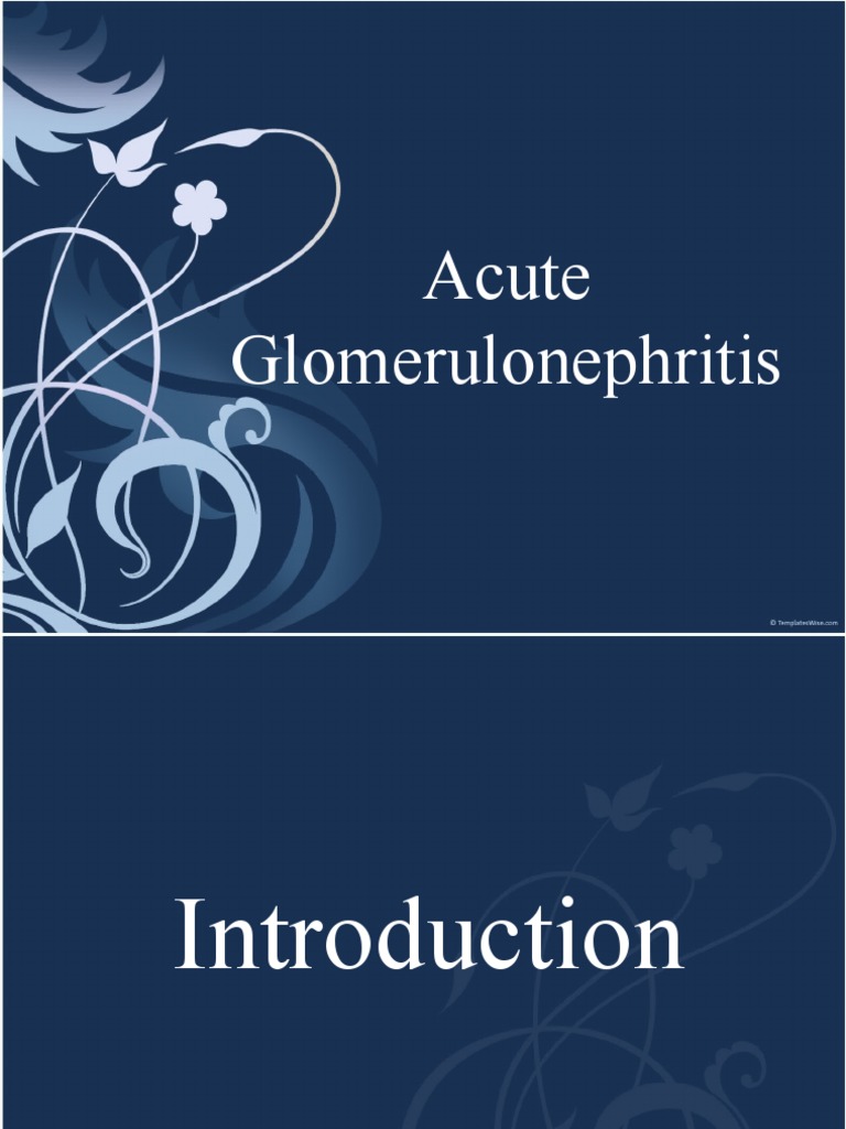 Acute Glomerulonephritis | PDF | Kidney | Organ (Anatomy)