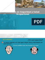 Seguridad y Sso