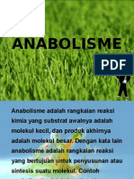 Anabolisme 1