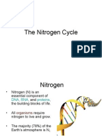 Nitrogen Cycle Sharon