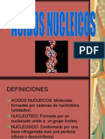 Acidos Nucleicos