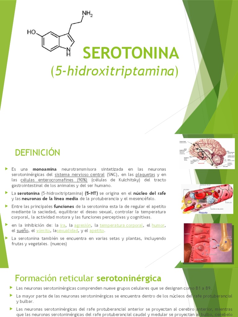 Serotonina y Noradrenalina Serotonina Norepinefrina