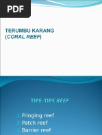 Download TERUMBU KARANG by Michelle Calista SN293228431 doc pdf