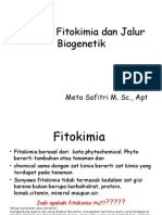Metode Fitokimia Dan Jalur Biogenetik