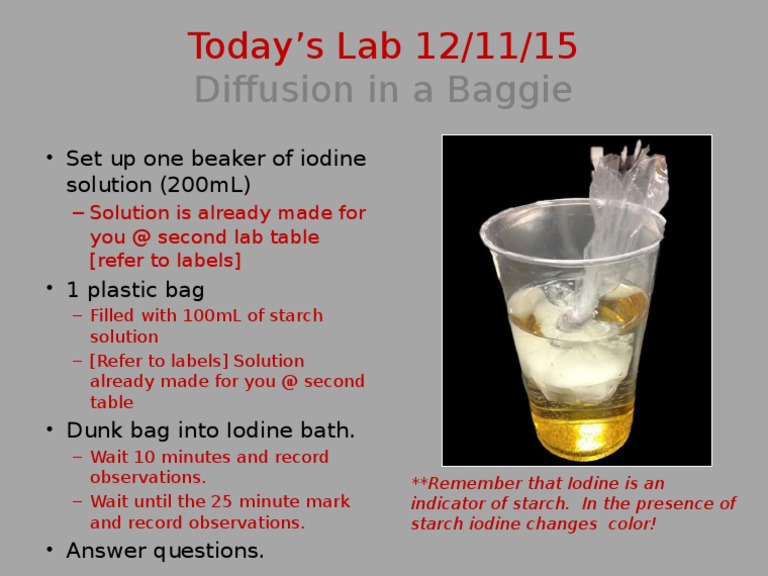 Diffusion Experiment: Iodine & Starch | PDF