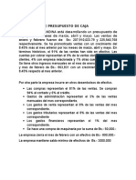 Word Presupuesto de Caja Supuestos