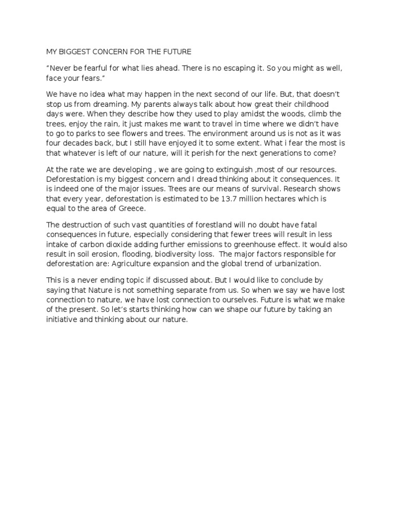 My biggest concern for future essay picture