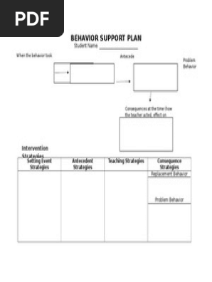 behavior support plan