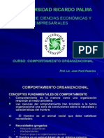 Comportamiento Organizacional