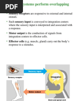 A. Nervous Systems Perform Overlapping Functions