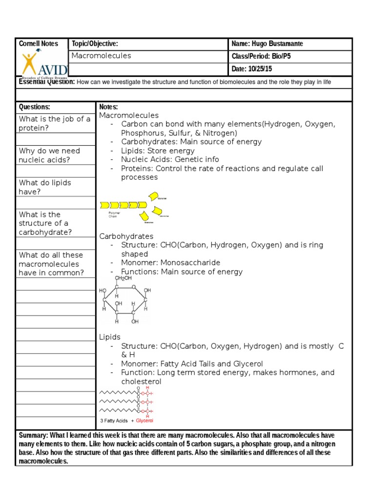 Understanding Macromolecules in Biology | PDF