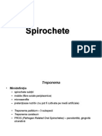 Spirochete 2010