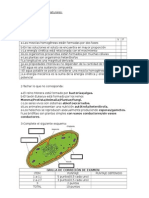 Examen de Ciencias Naturales Diciembre