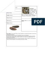 Fichas Nombres Cientificos