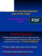 The Growth and Development and of The Teeth