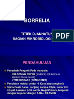 22.4. Borrelia PDF