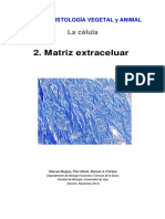 Matriz Extracelular