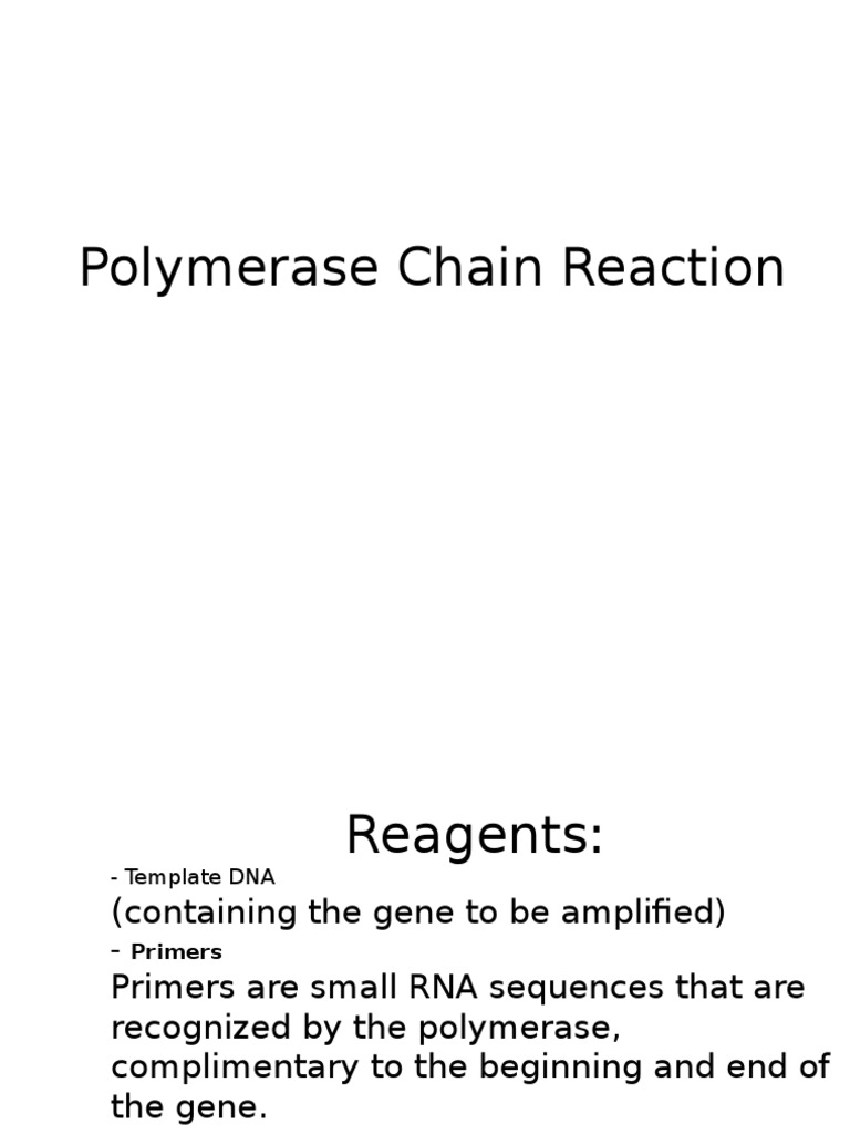 Polymerase Chain Reaction | PDF
