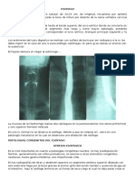 Clase Xi - Esofago