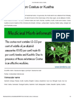 Herb Information Costus or Kustha