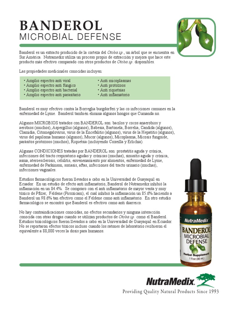Banderol Spanishflyer | PDF