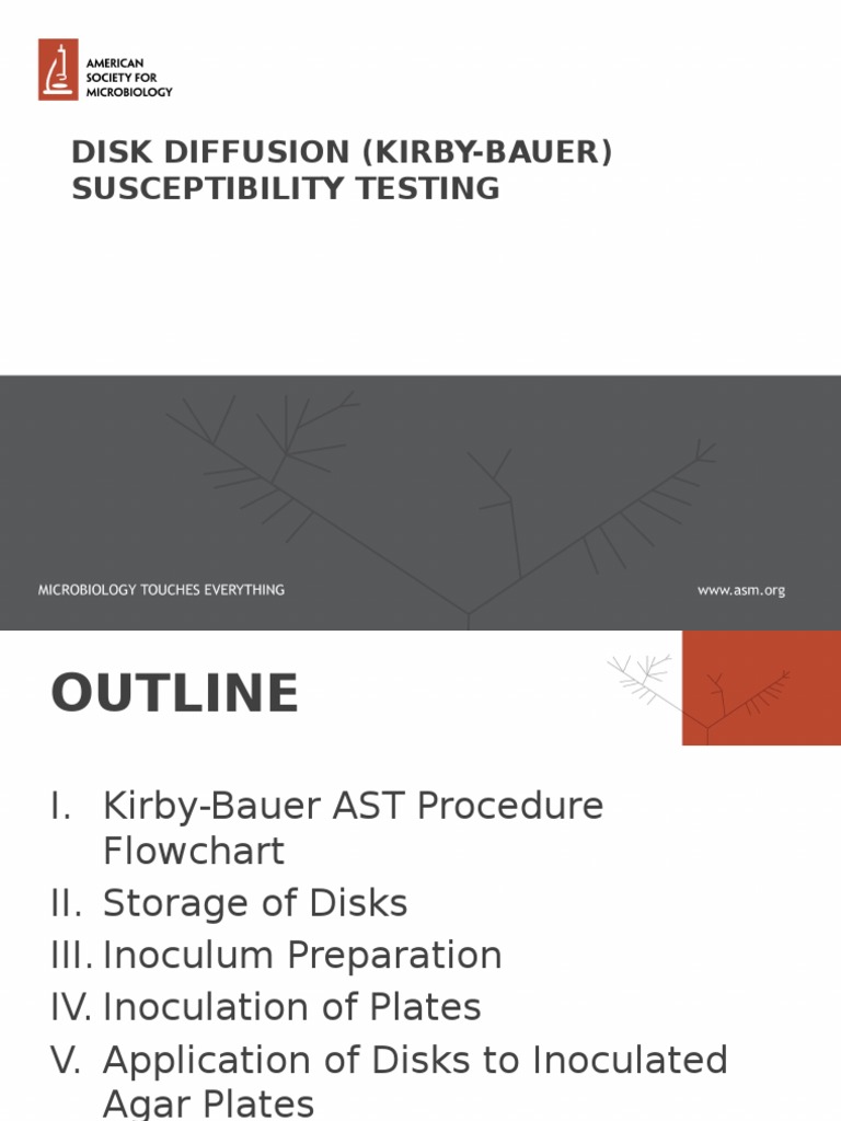 Disk Diffusion (Kirby-Bauer) Susceptibility Testing | PDF ...