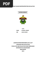 Download Laporan Praktikum Dasar-dasar Bioprospekting by Hairul Umam SN293324132 doc pdf