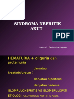 K - 13 Sindrom Nefritik Akut (Ilmu Penyakit Dalam)