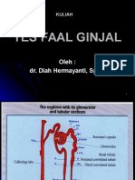 Tes Faal Ginjal