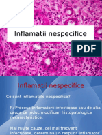 Inflamatii nespecifice.pptx