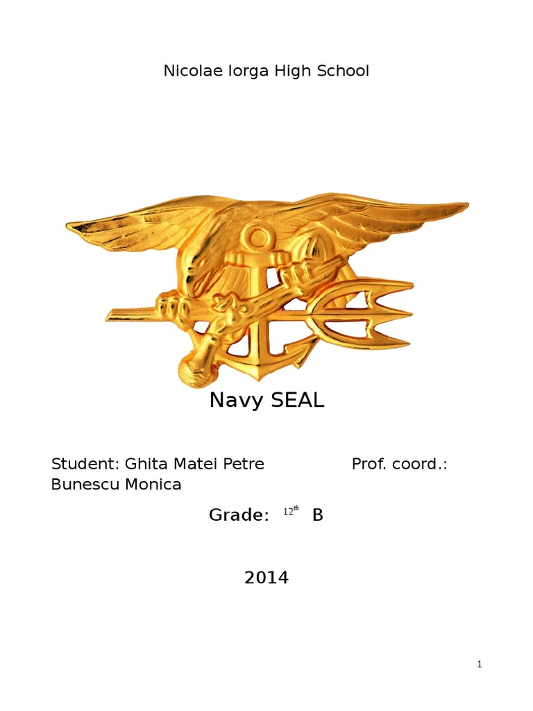 Navy SEAL | United States Navy Sea Ls | United States Navy