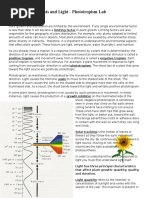 Phototropism Lab