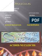 Acidos nucleicos 