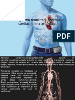 Bioingineria Reabilitarii Sistemului Cardiac. Inima Artificiala.