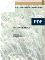 Cultivo de Arroz