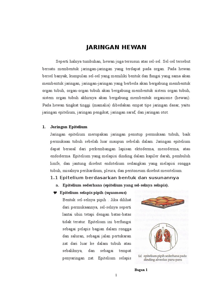  JARINGAN  HEWAN 