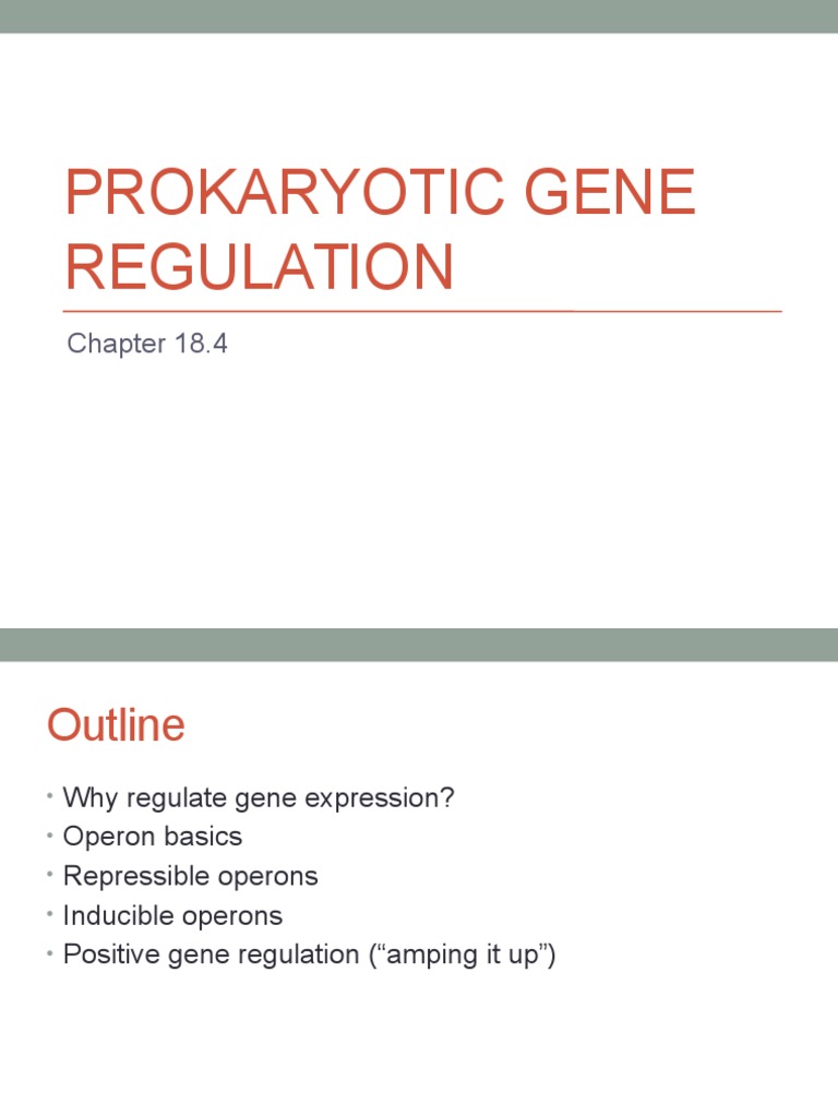 Prokaryotic Gene Regulation Overview | PDF | Operon | Repressor