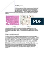 Aspek Histopatologi Dan Patogenesis Angiofibroma