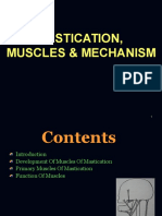 Muscles of Mastication