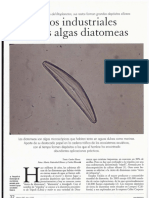 Diatomeas 2