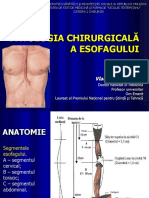 65_Patologia_chiru