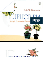 Euphorbia Tampil Prima Dan Semarak Berbunga