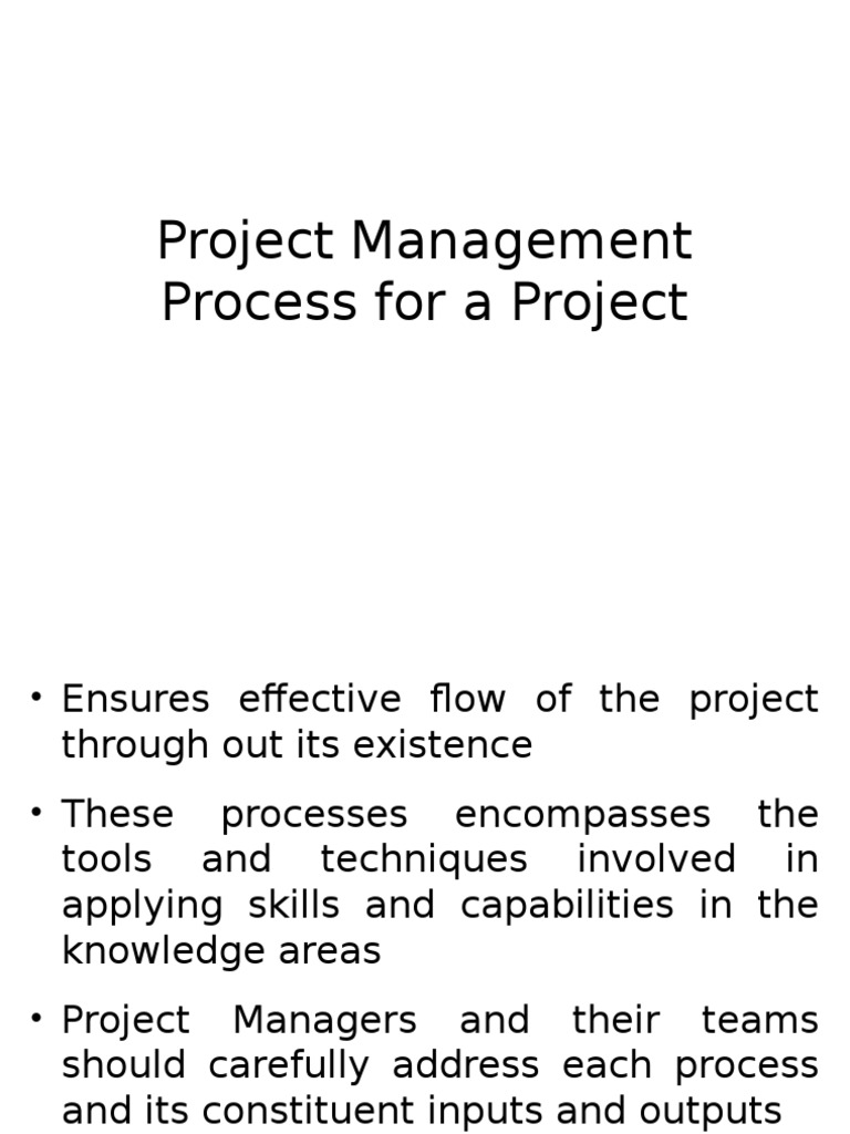 Project Management Process Overview | PDF | Project Management | Risk ...