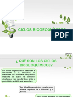 Ciclo Biogeoquímicos