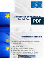 Comitetul Economic Şi Social European