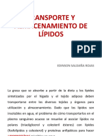 Transporte y Almacenamiento de Lípidos