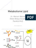 Metabolisme Lipid